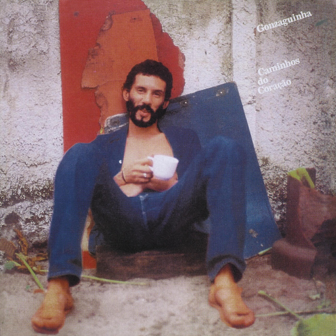 Gonzaguinha - O Filho Da Própria