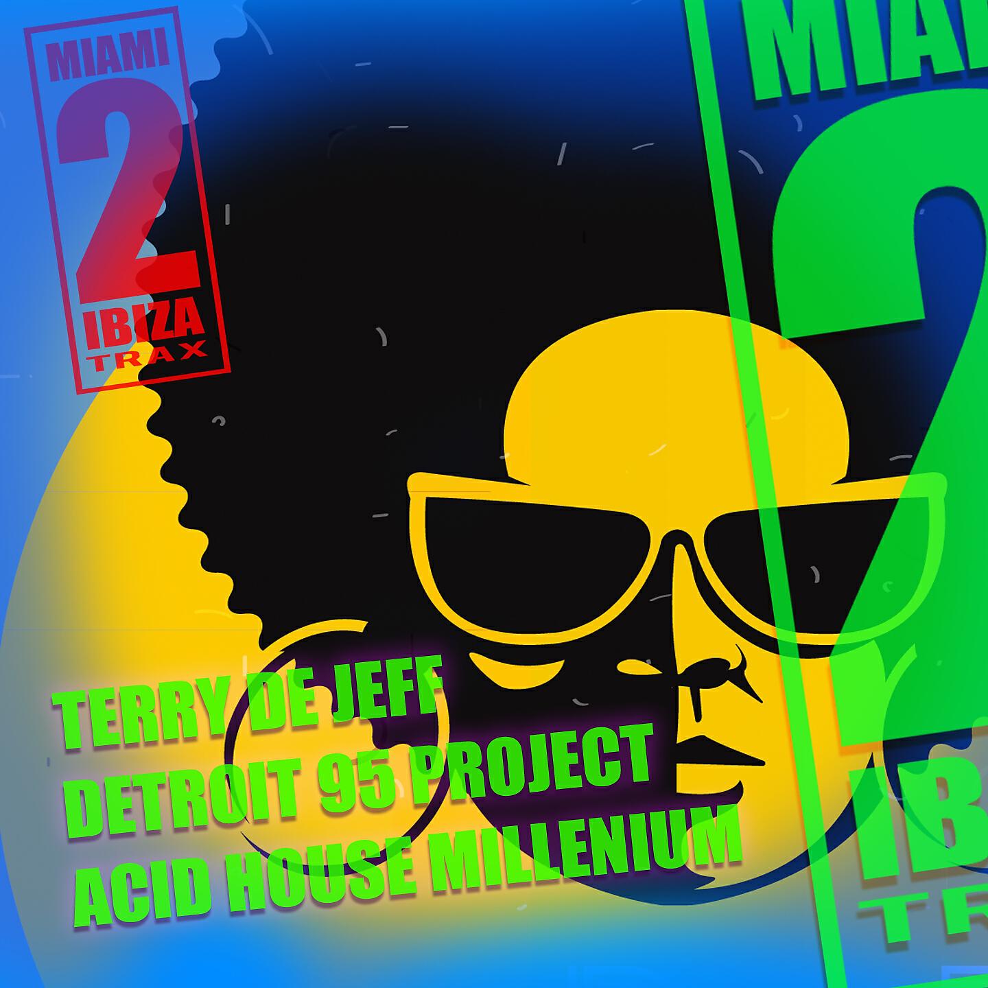 Detroit 95 Project - Acid House Millenium (DJ Tool)