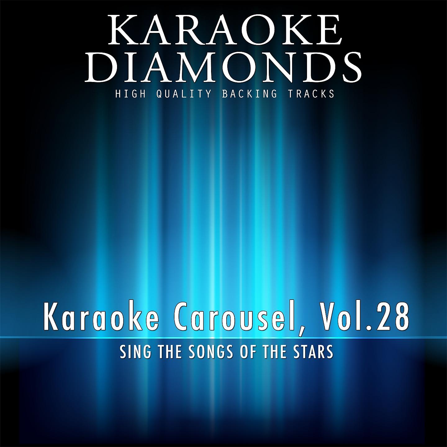Постер альбома Karaoke Carousel, Vol. 28