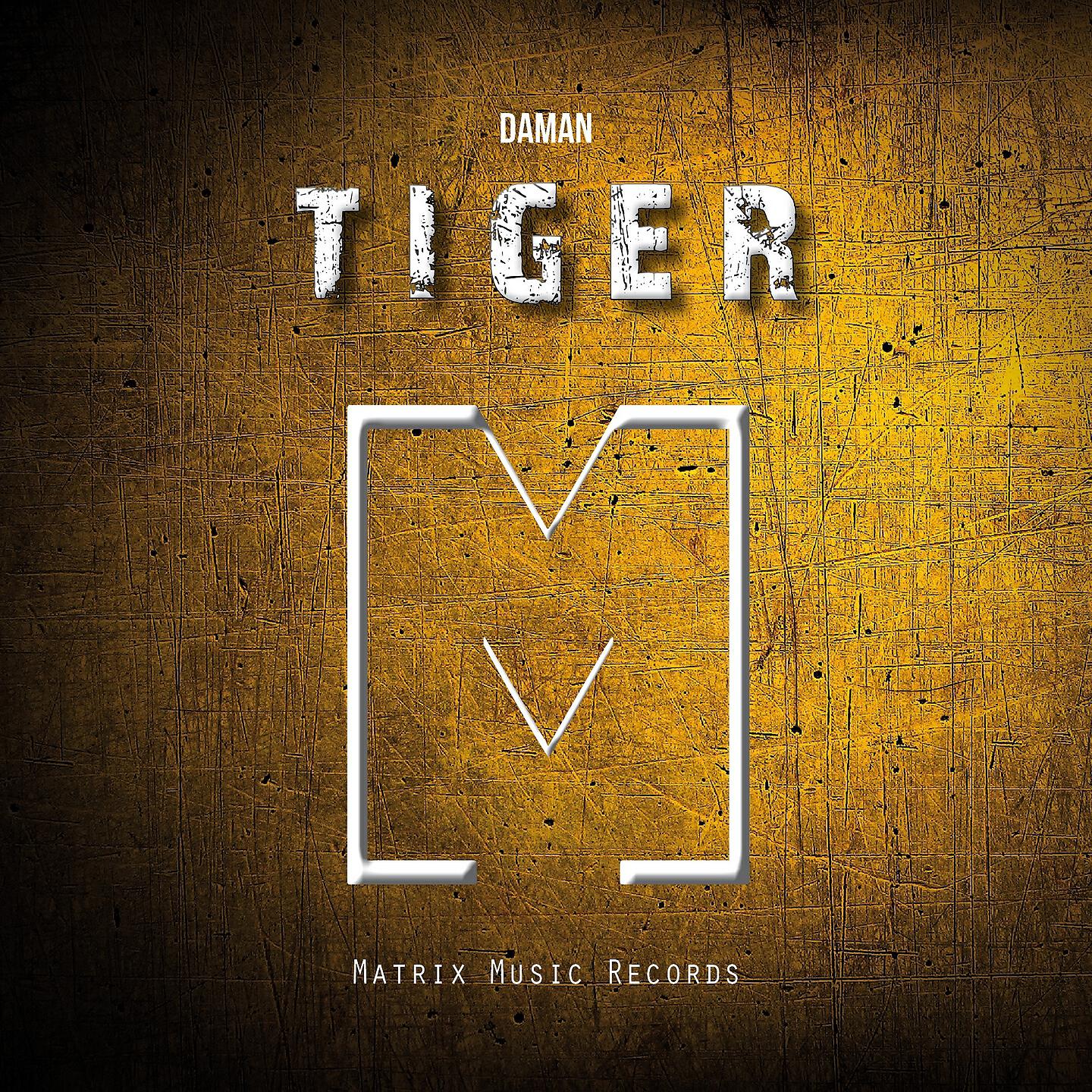 Daman - Tiger