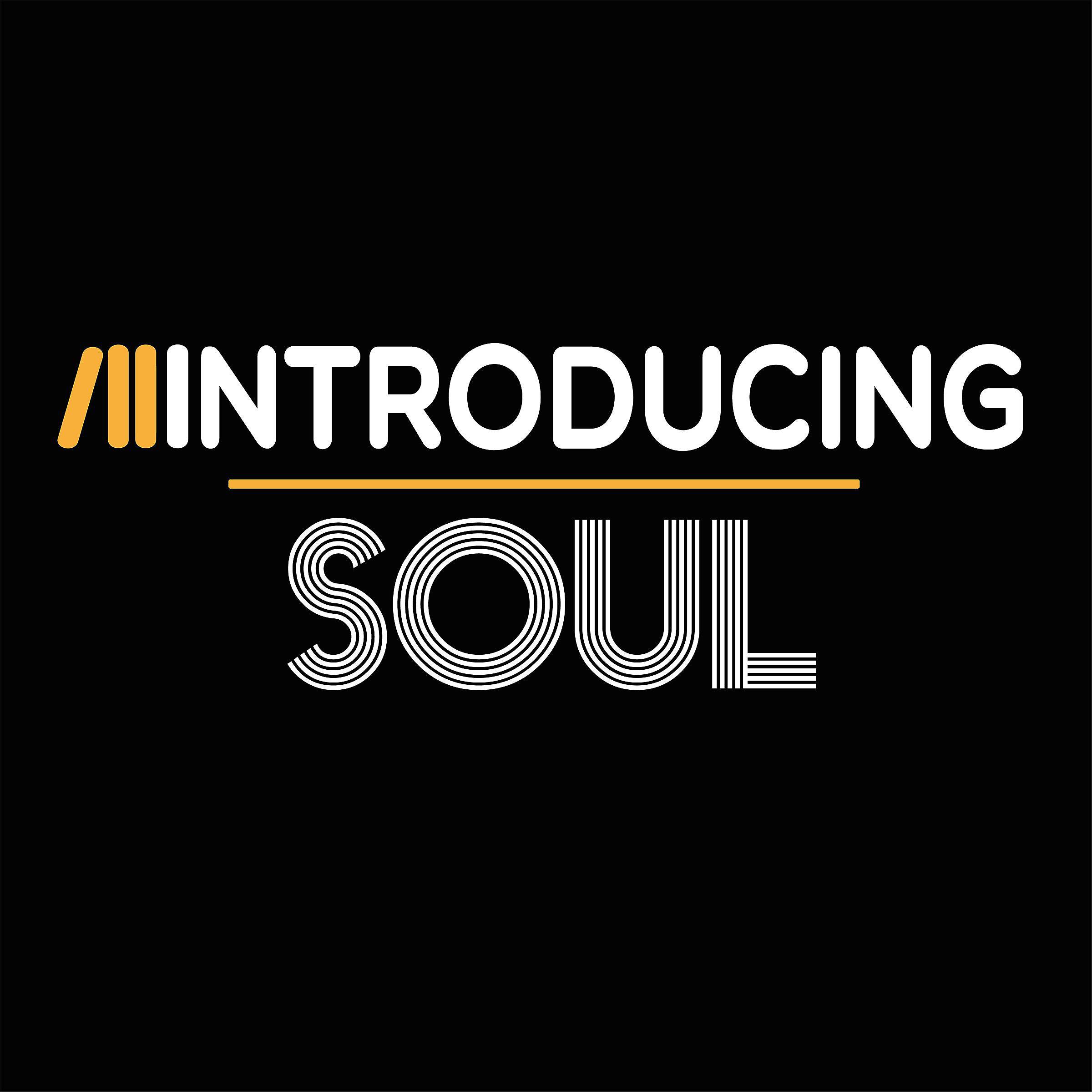Постер альбома Introducing...Soul