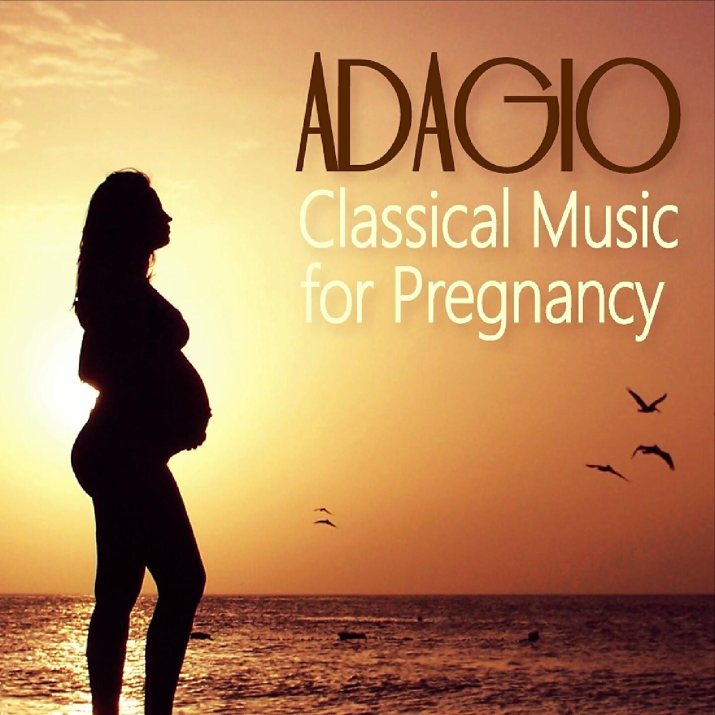 Radio-Sinfonie-Orchester Frankfurt - Orchestral Suite No. 3 in D Major, BWV 1068: II. Air