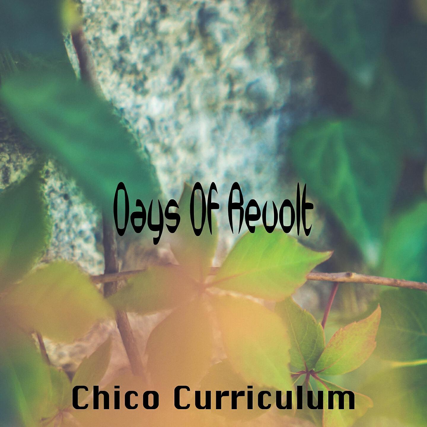 Chico Curriculum - Love To Rose