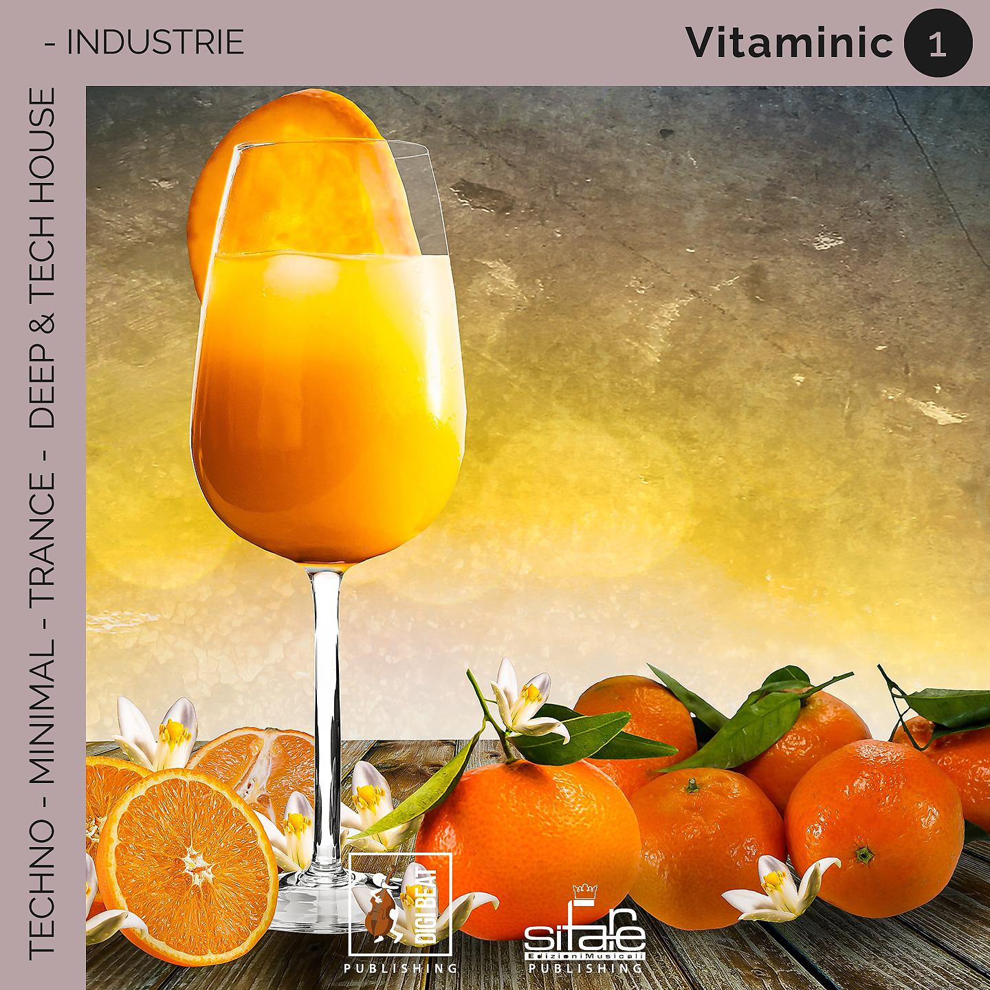 Постер альбома Vitaminic