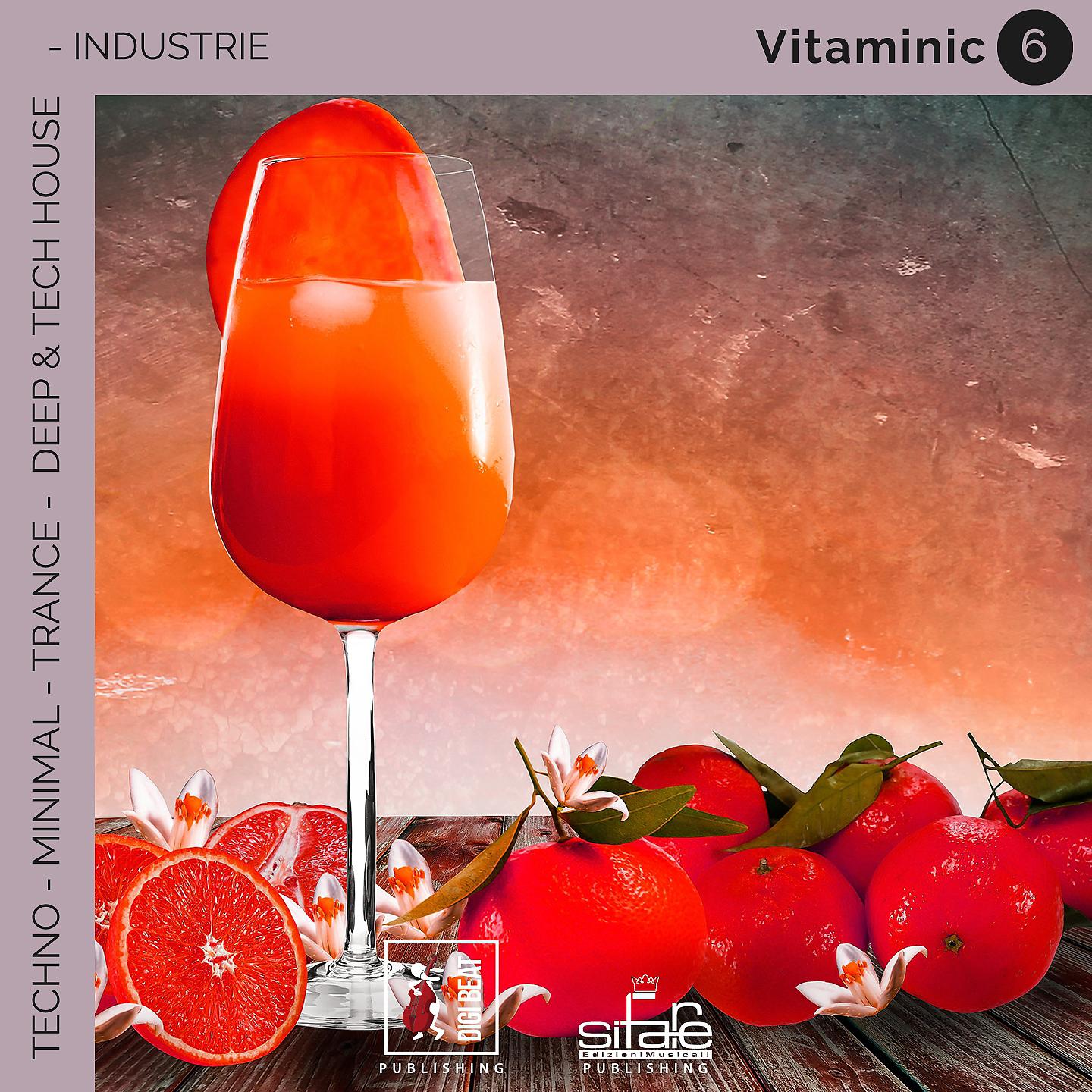 Постер альбома Vitaminic 6