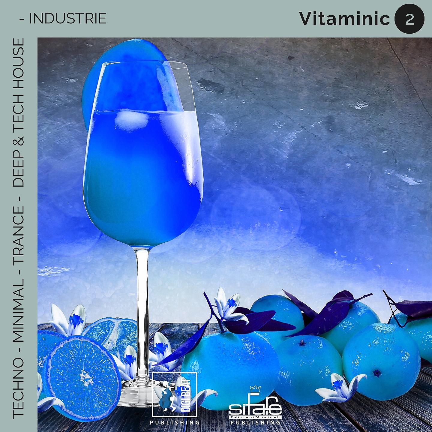Постер альбома Vitaminic 2