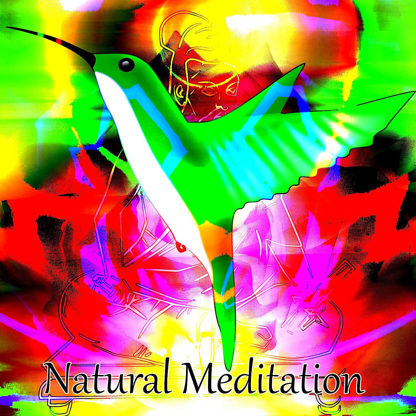 Tranquil Music Sound Of Nature - A Passing Waterfall With Thunder