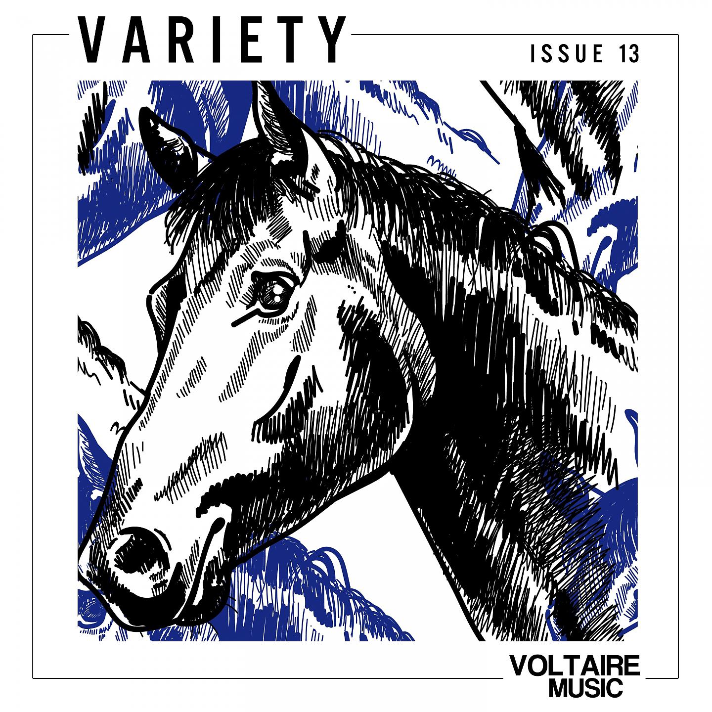 Постер альбома Voltaire Music Pres. Variety Issue 13