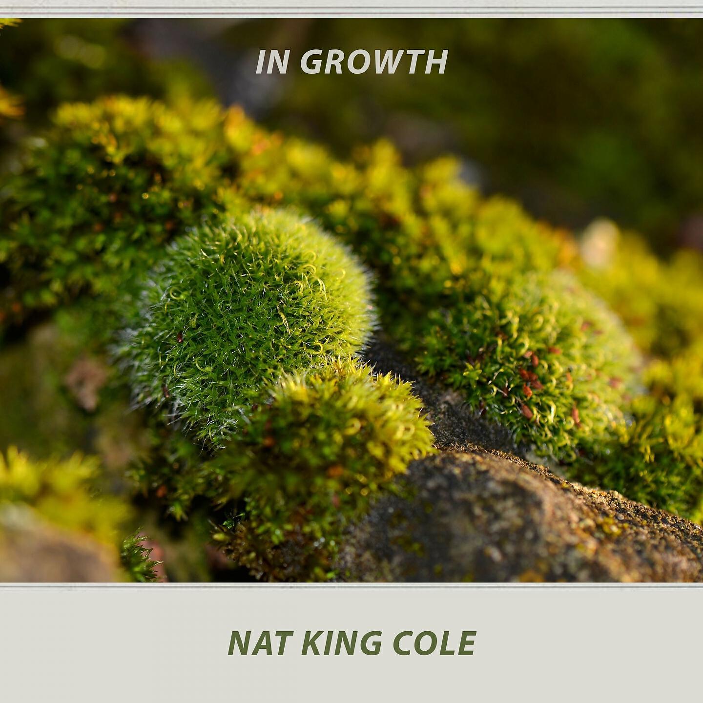 Nat King Cole - El Bodeguero (Grocer's Cha-Cha)