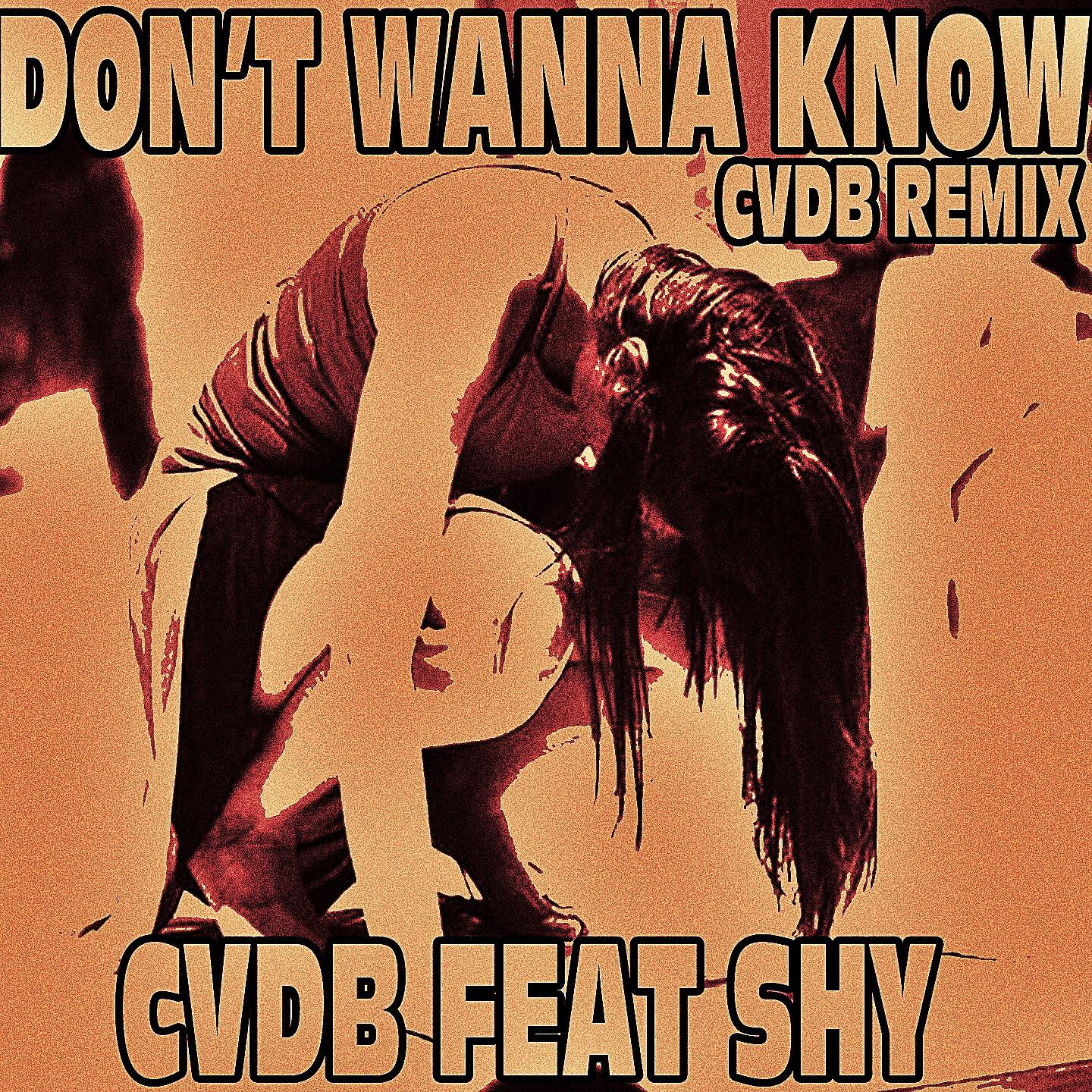 CVDB - Don't Wanna Know (Cvdb Remix)