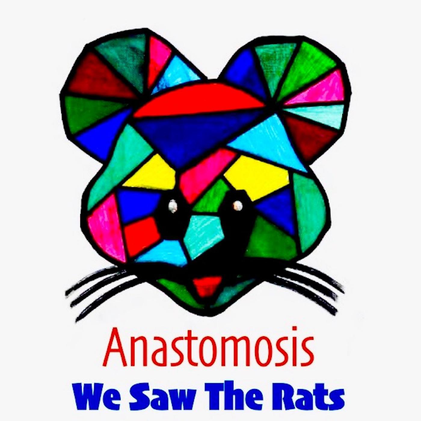 Постер альбома Anastomosis