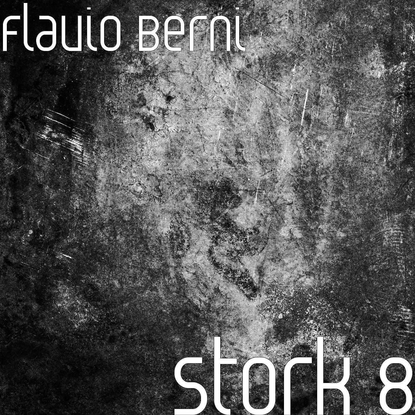 Flavio Berni - Stork 8