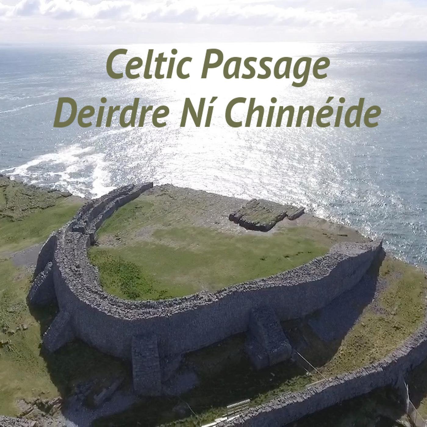 Постер альбома Celtic Passage