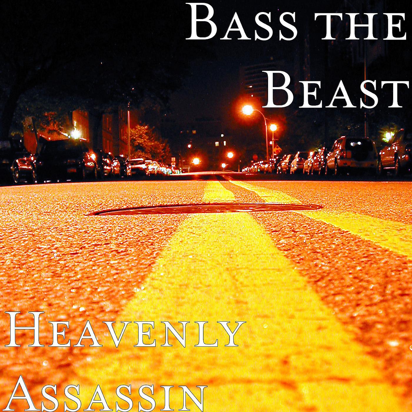 Постер альбома Heavenly Assassin
