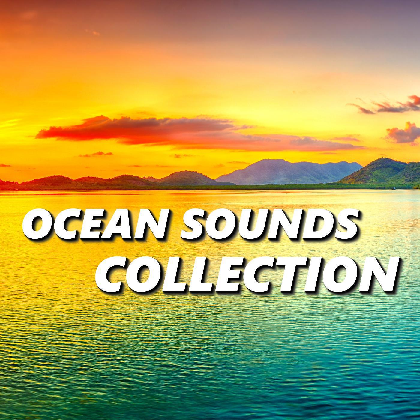 Ocean Sounds - Calming Bayside Beach Sounds