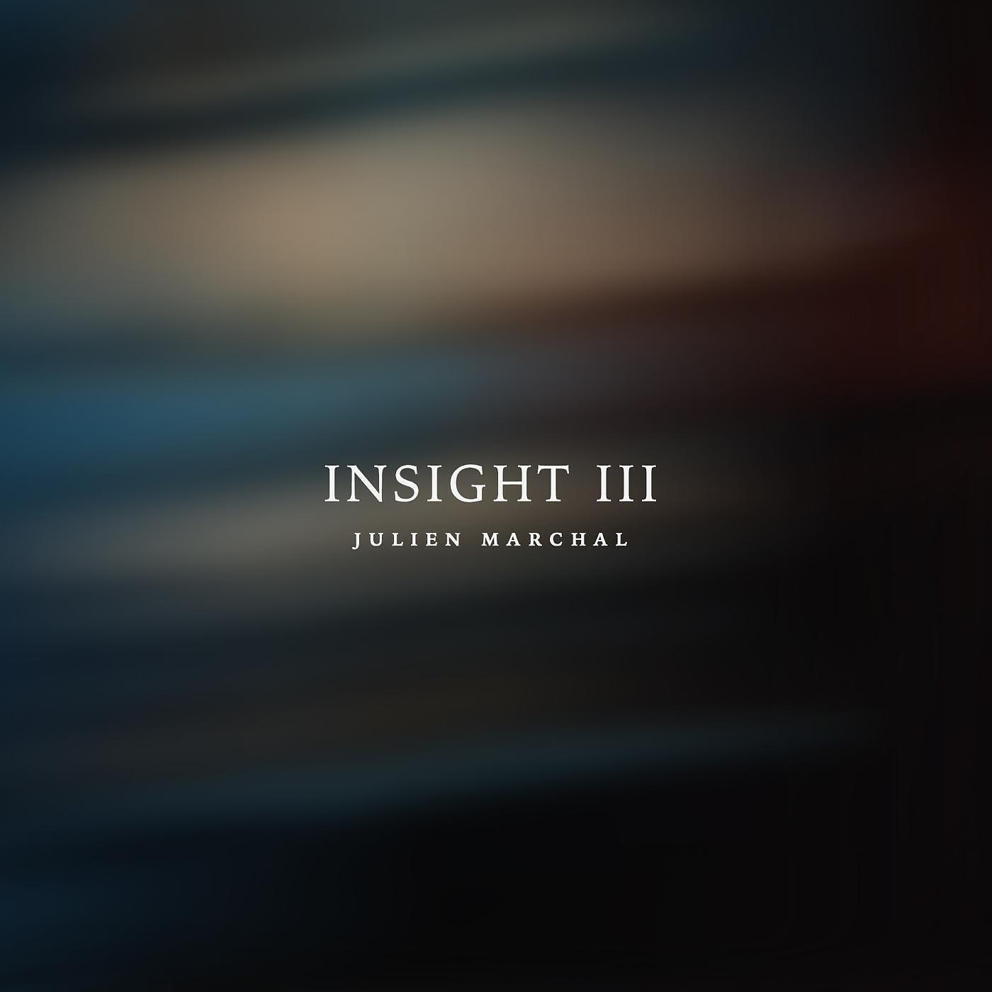 Julien Marchal - Insight XXX
