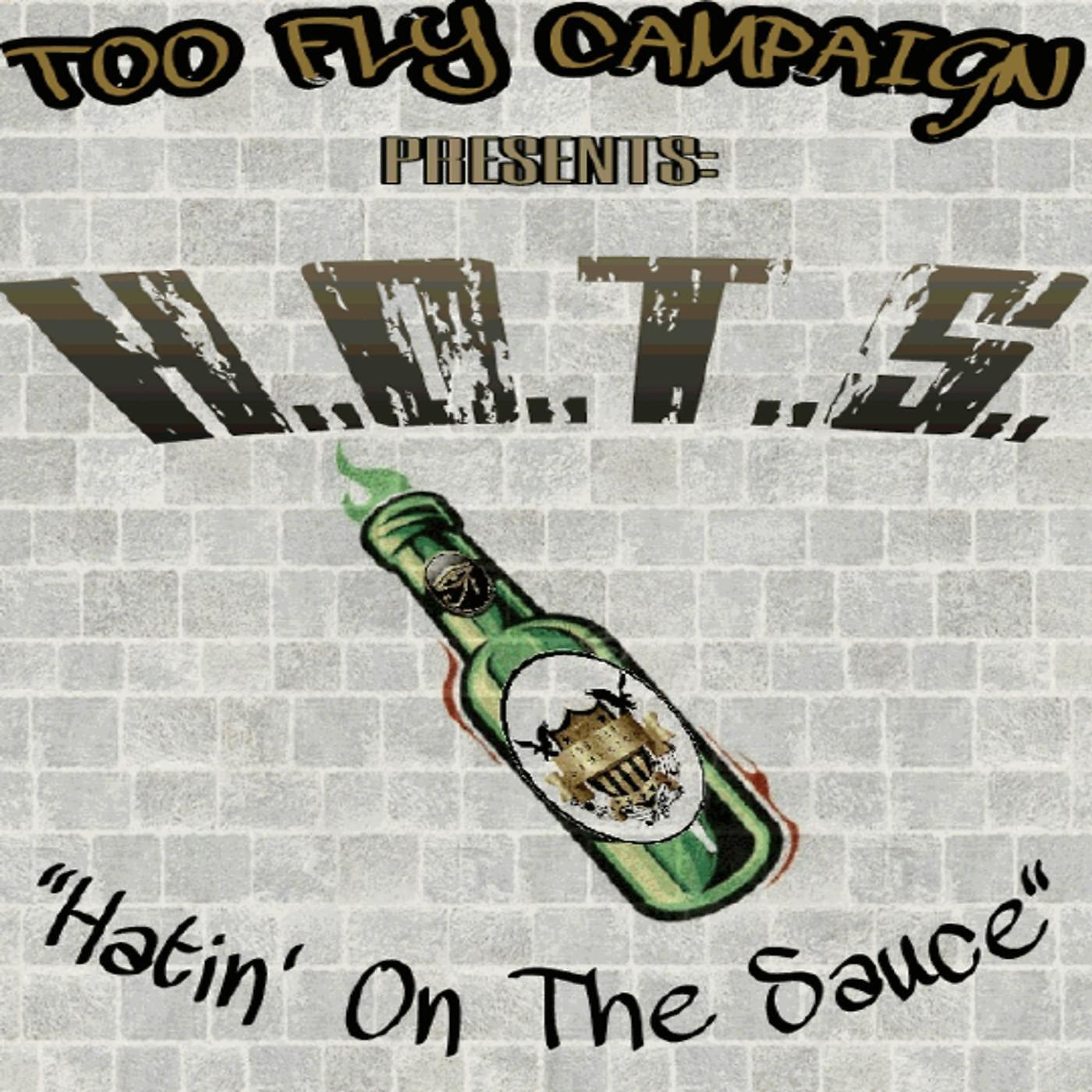 Too Fly Campaign - H.O.T.S (Hatin on the Sauce)