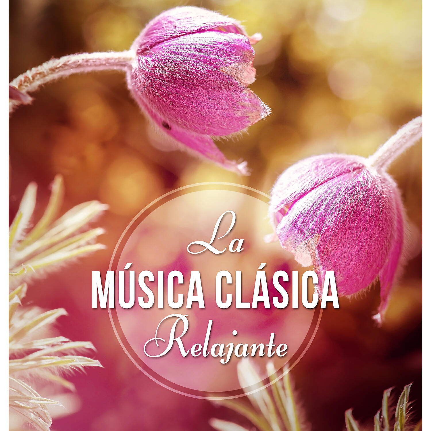 Giovanni Peltonen - String Quartet No. 27 in D Major, Op. 20 No. 4, Hob. III:34: I. Allegro di molto