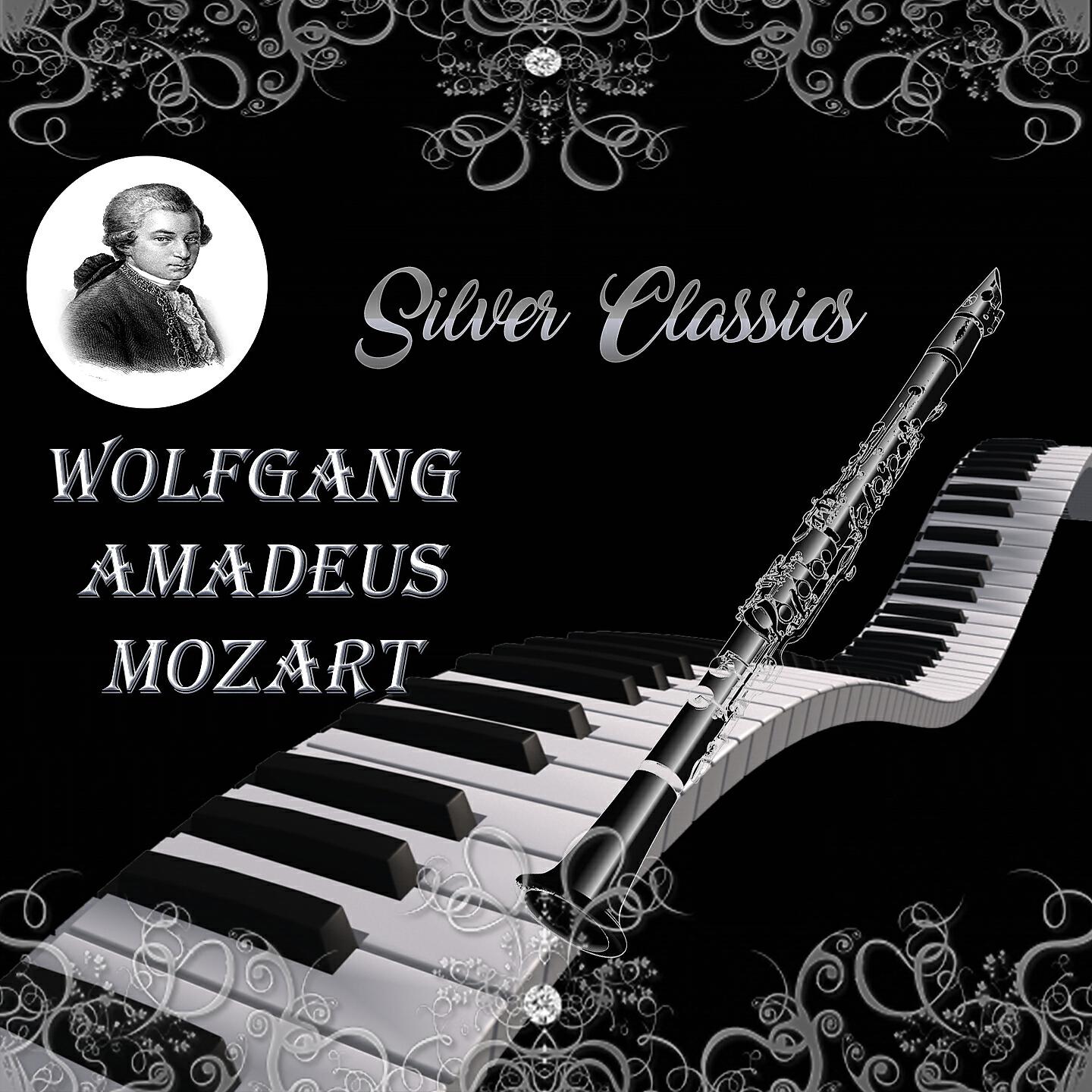 Camerata Labacensis - Symphony No.1 in E-Flat Major, K. 16: I. Allegro molto