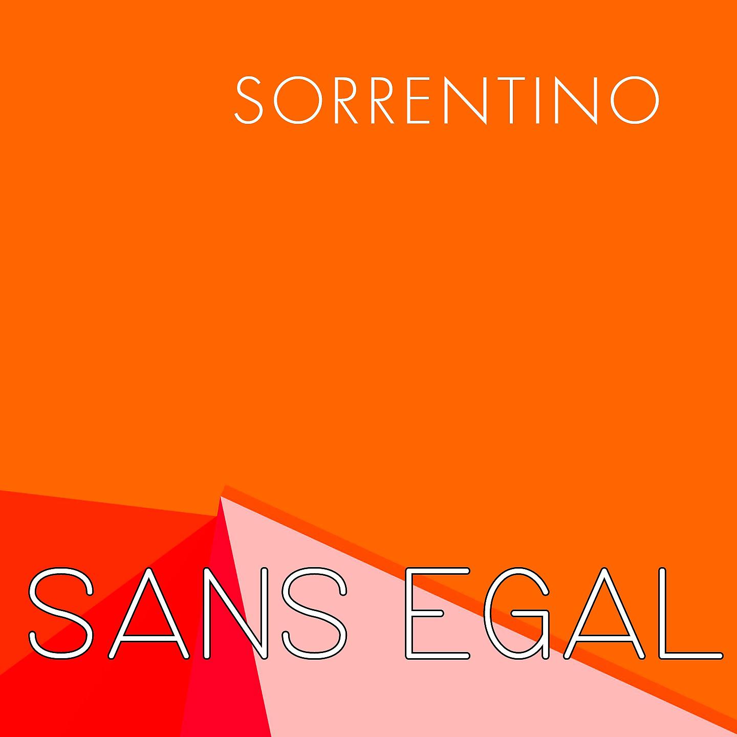 Постер альбома Sans égal