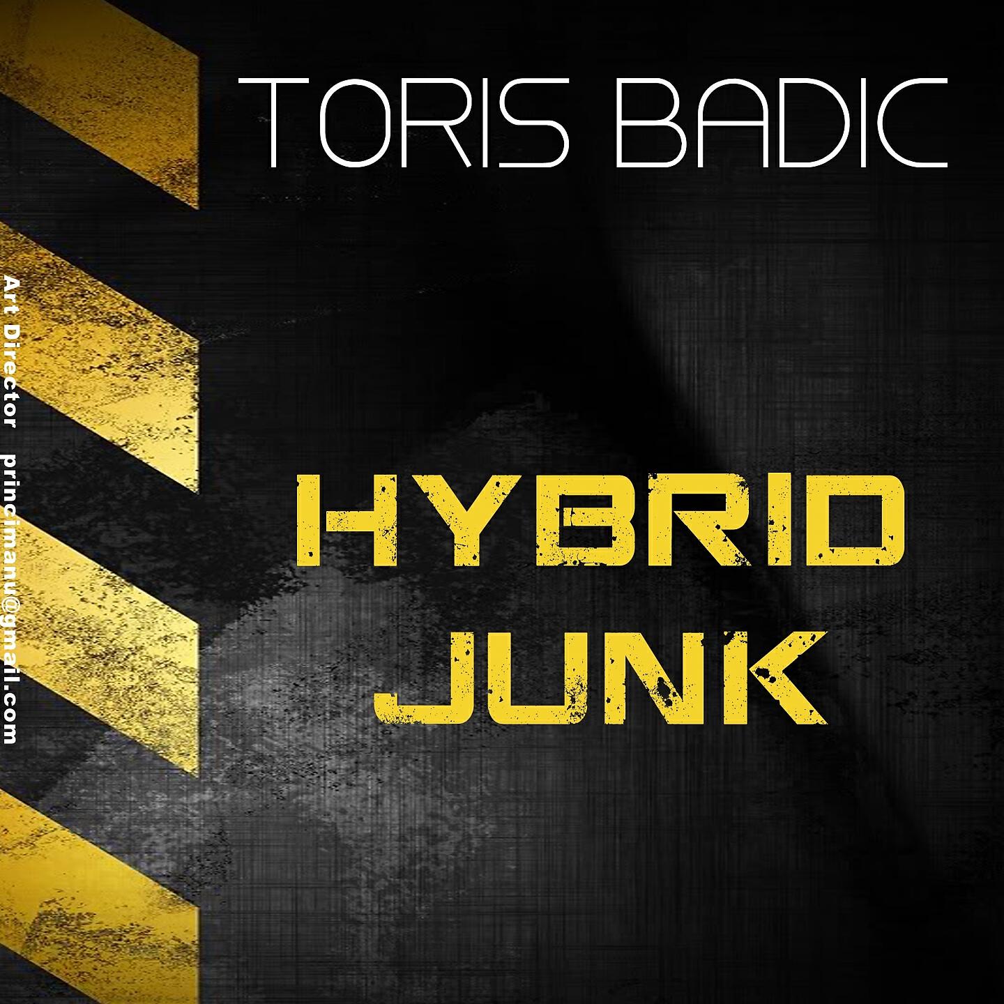 Toris Badic - Hybrid Junk