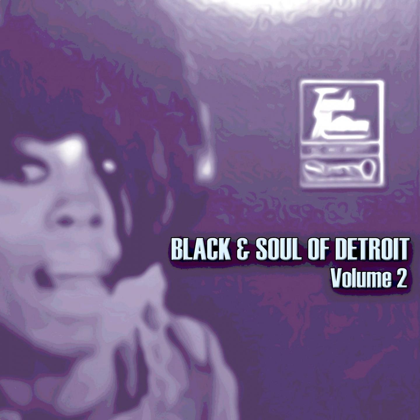 Постер альбома Black & Soul of Detroit, Volume 2