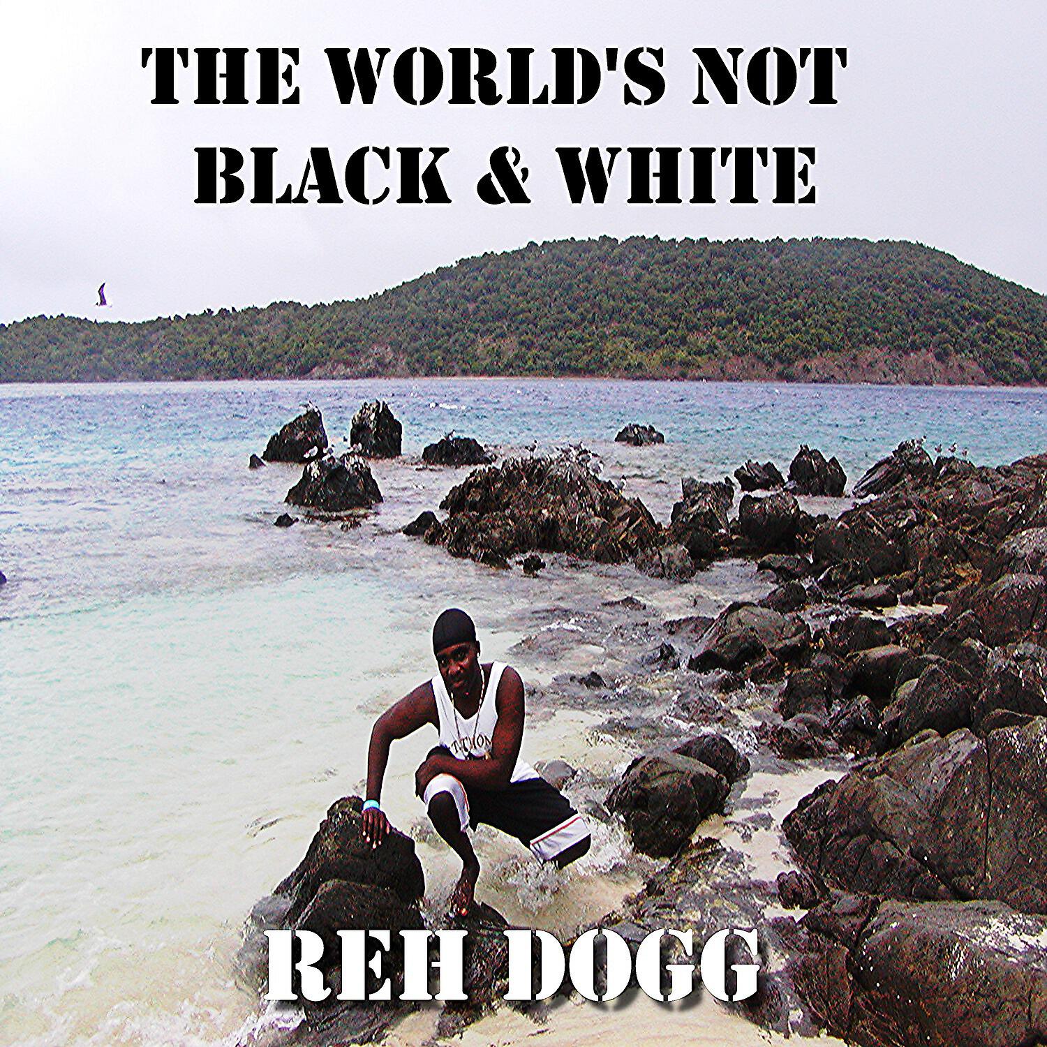 Reh Dogg - The World's Not Black & White