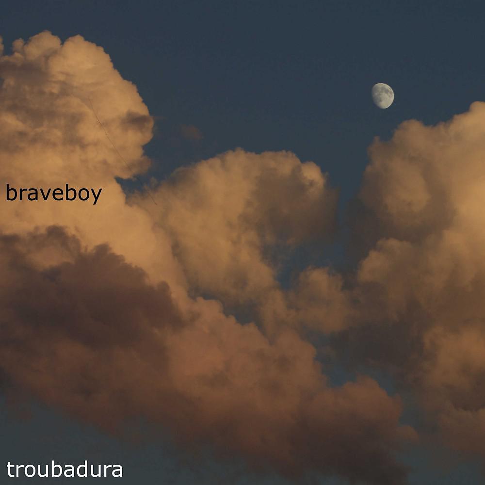 Постер альбома Braveboy