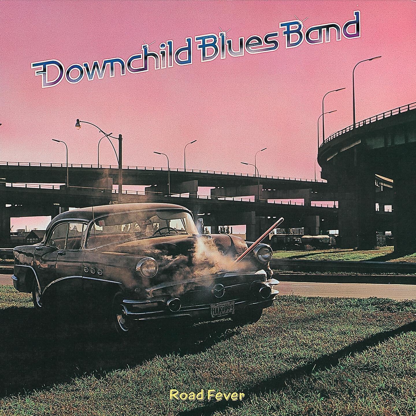 Downchild Blues Band - Stages of Love