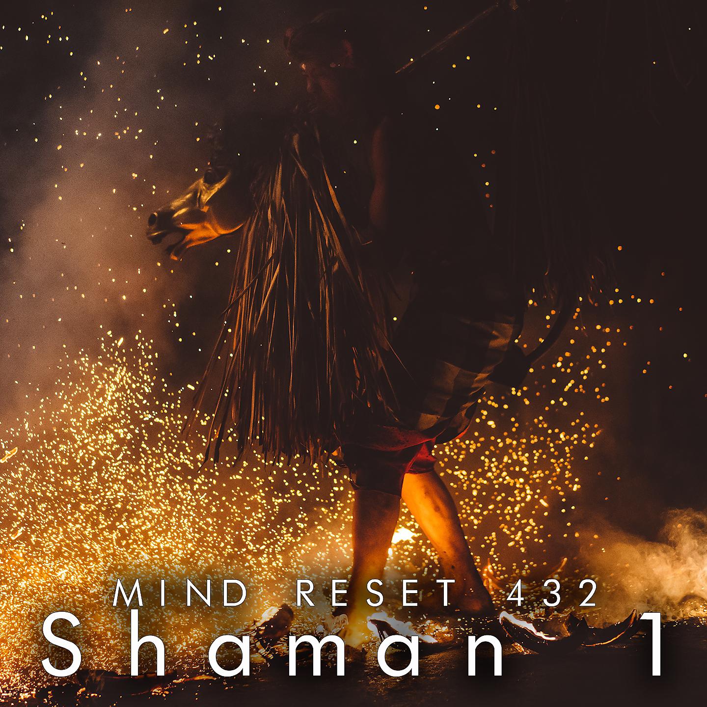 Постер альбома Shaman 1