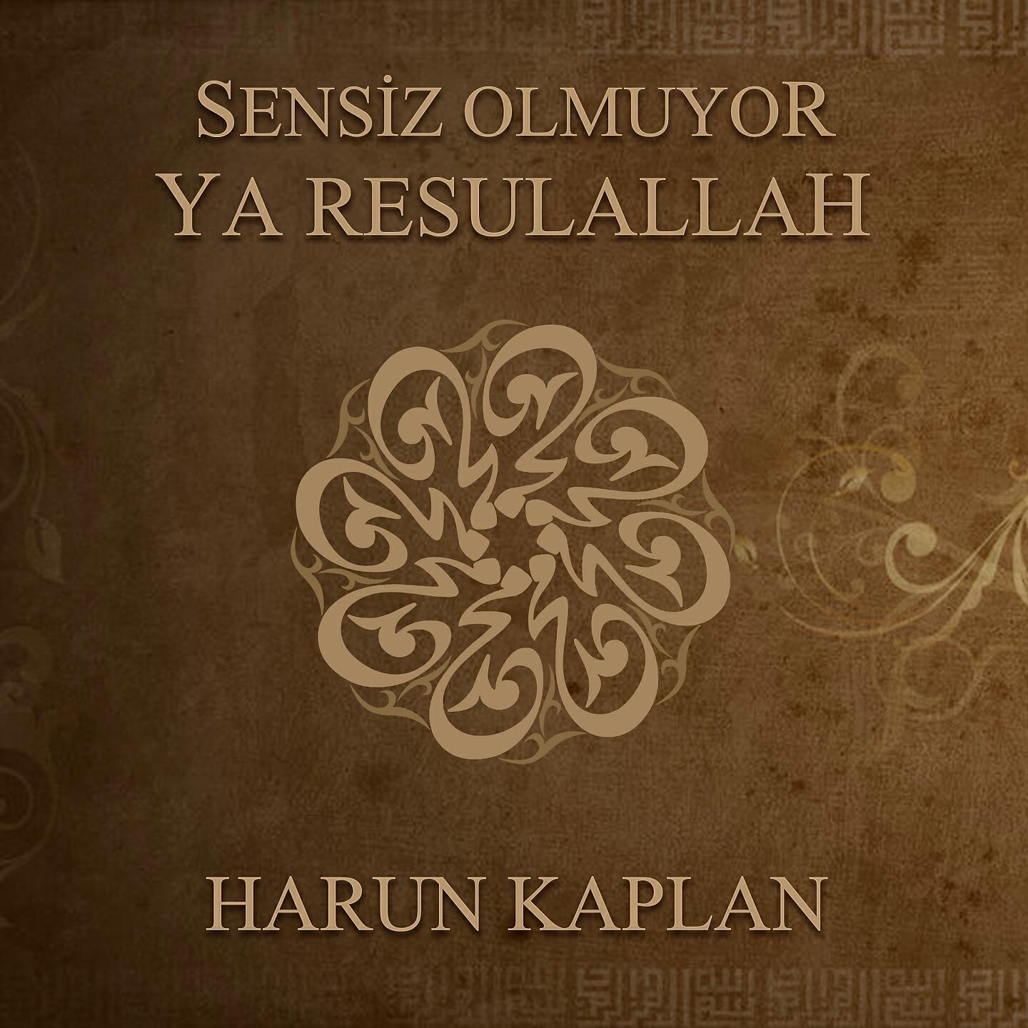 Harun Kaplan - Nur Medine Yollarında