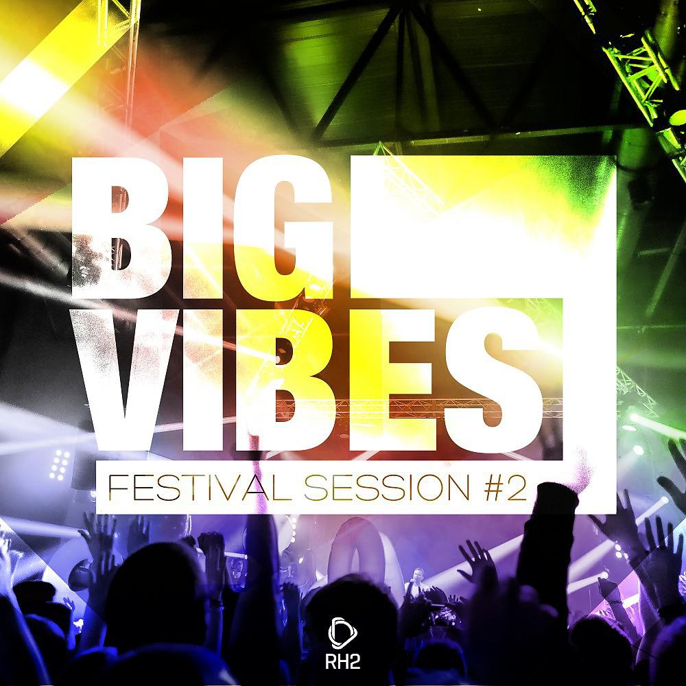 Постер альбома Big Vibes - Festival Session #2
