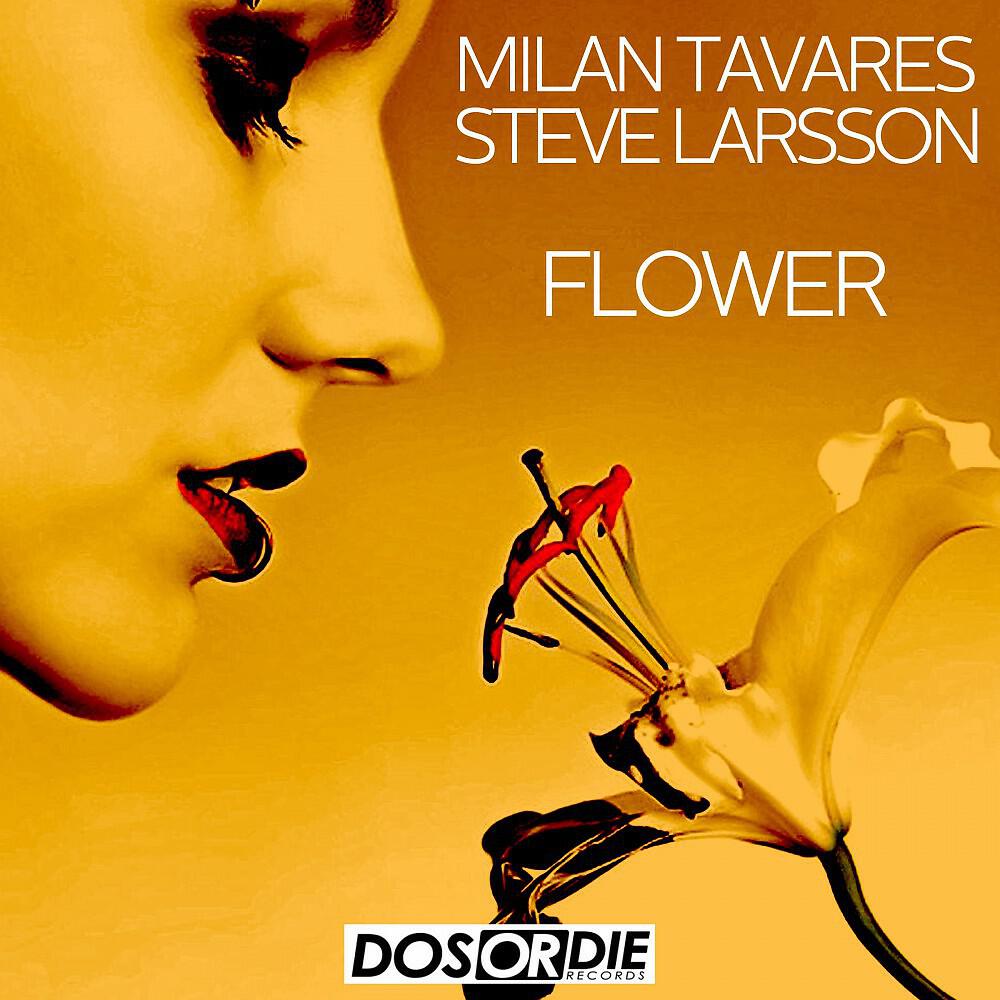 Milan Tavares & Steve Larsson - Flower (Radio Mix)