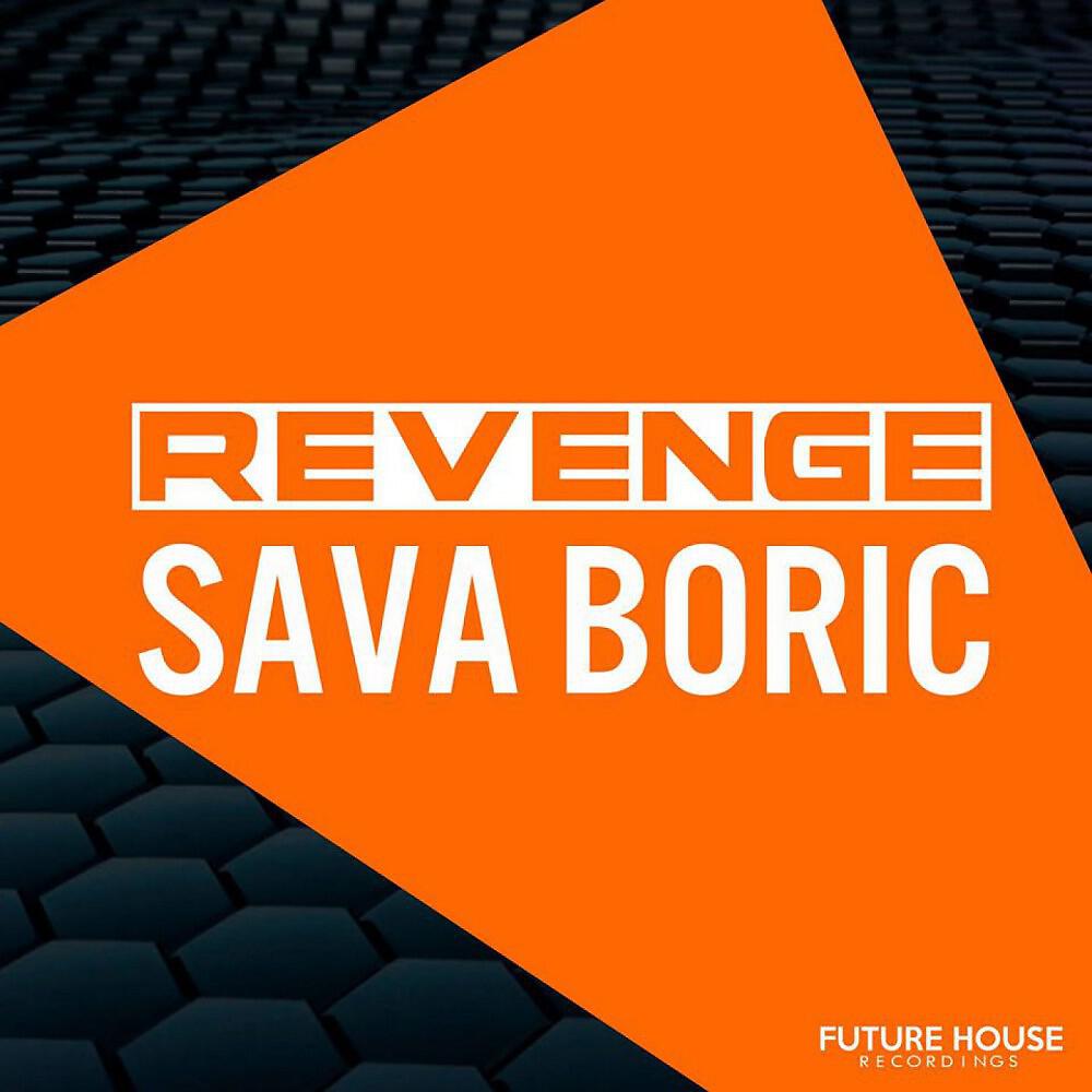 Sava Boric - Transporter