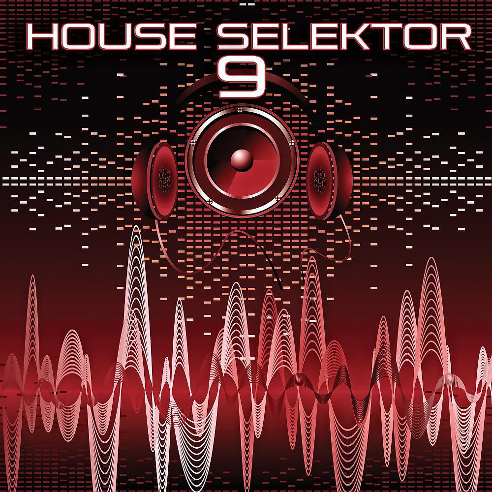 Постер альбома House Selektor, Vol. 9