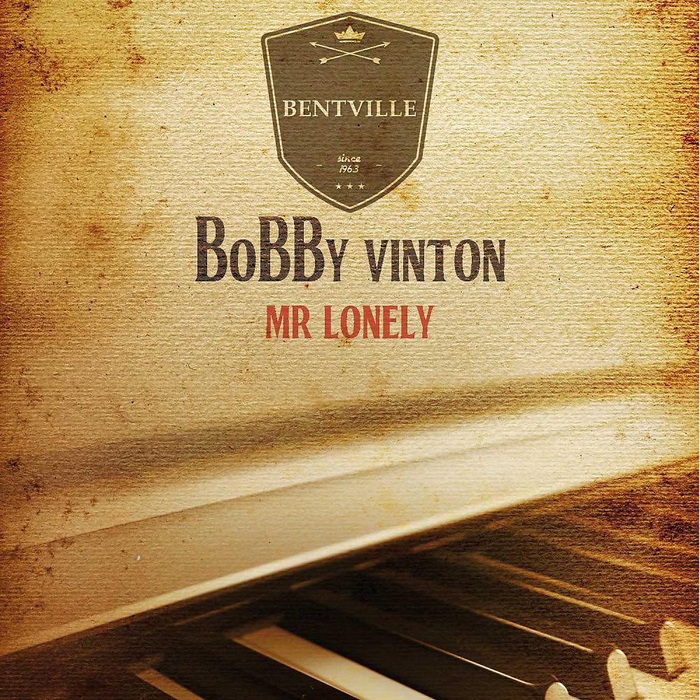 Постер альбома Mr Lonely