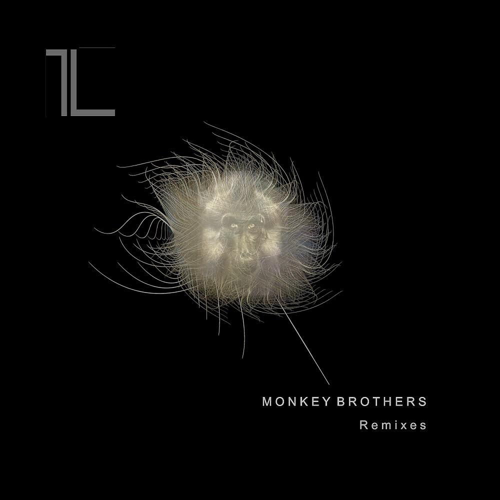 LEON SOMOV - Dust Brothers (Monkey Brothers Remix)