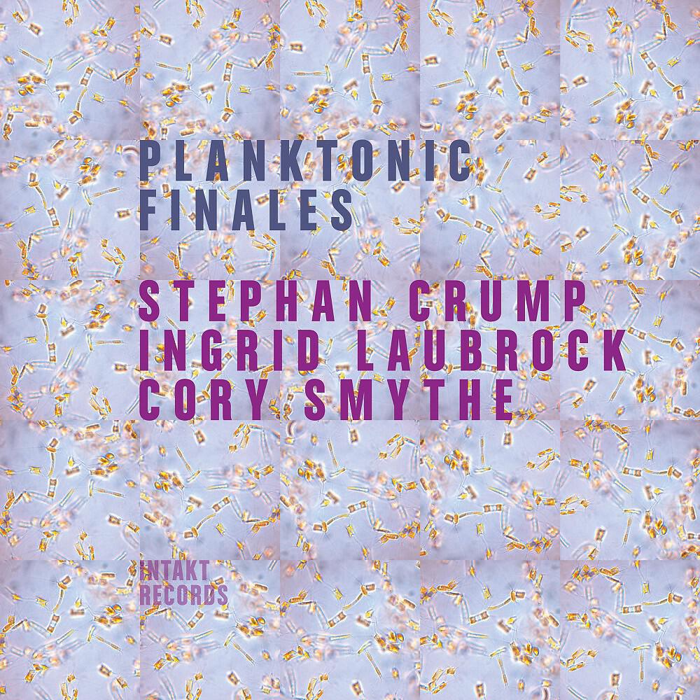 Stephan Crump - Sinew Modulations