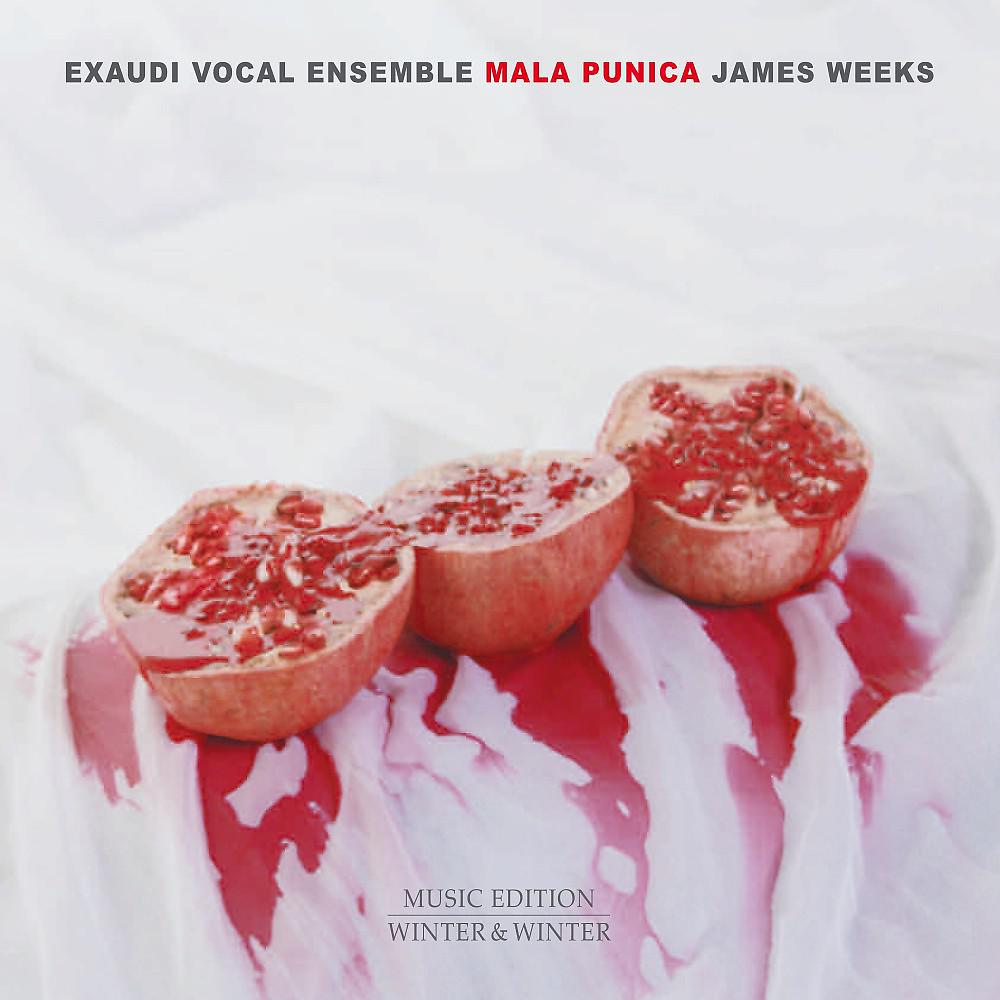 Постер альбома James Weeks: Mala Punica