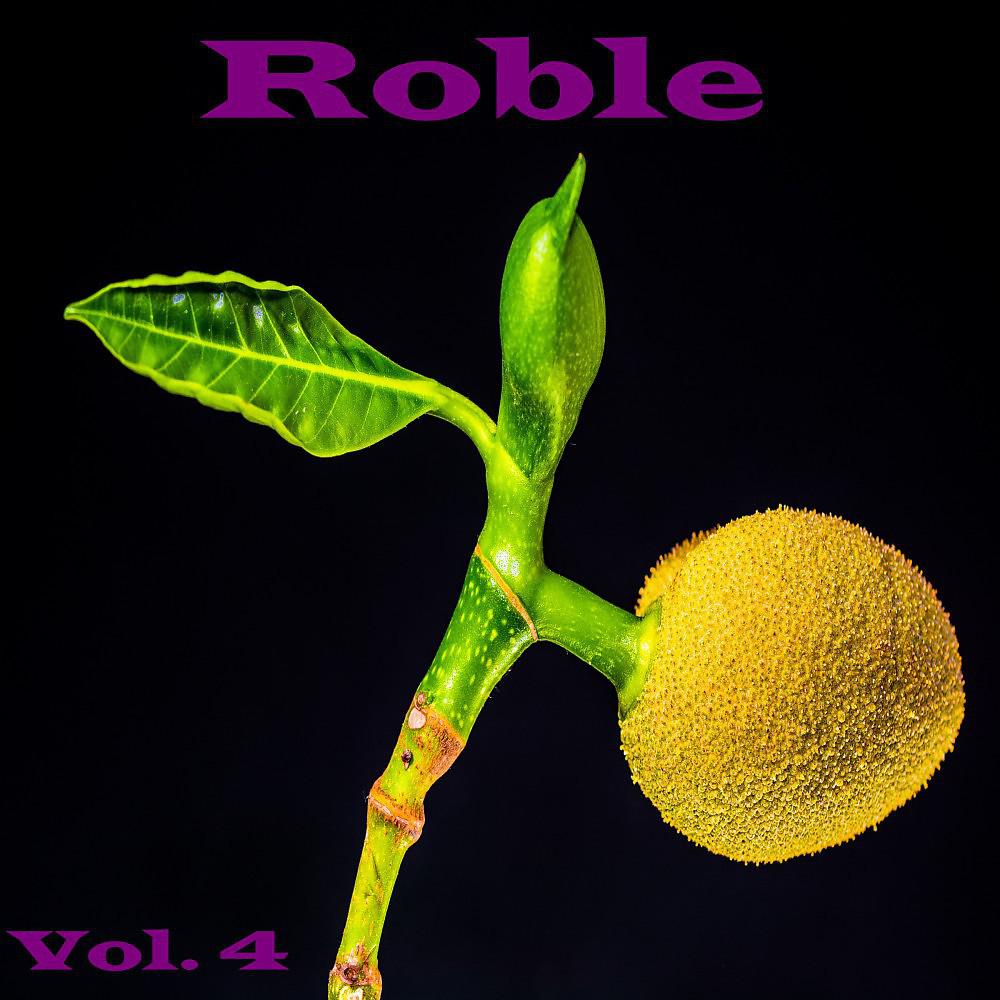 Постер альбома Roble, Vol. 4