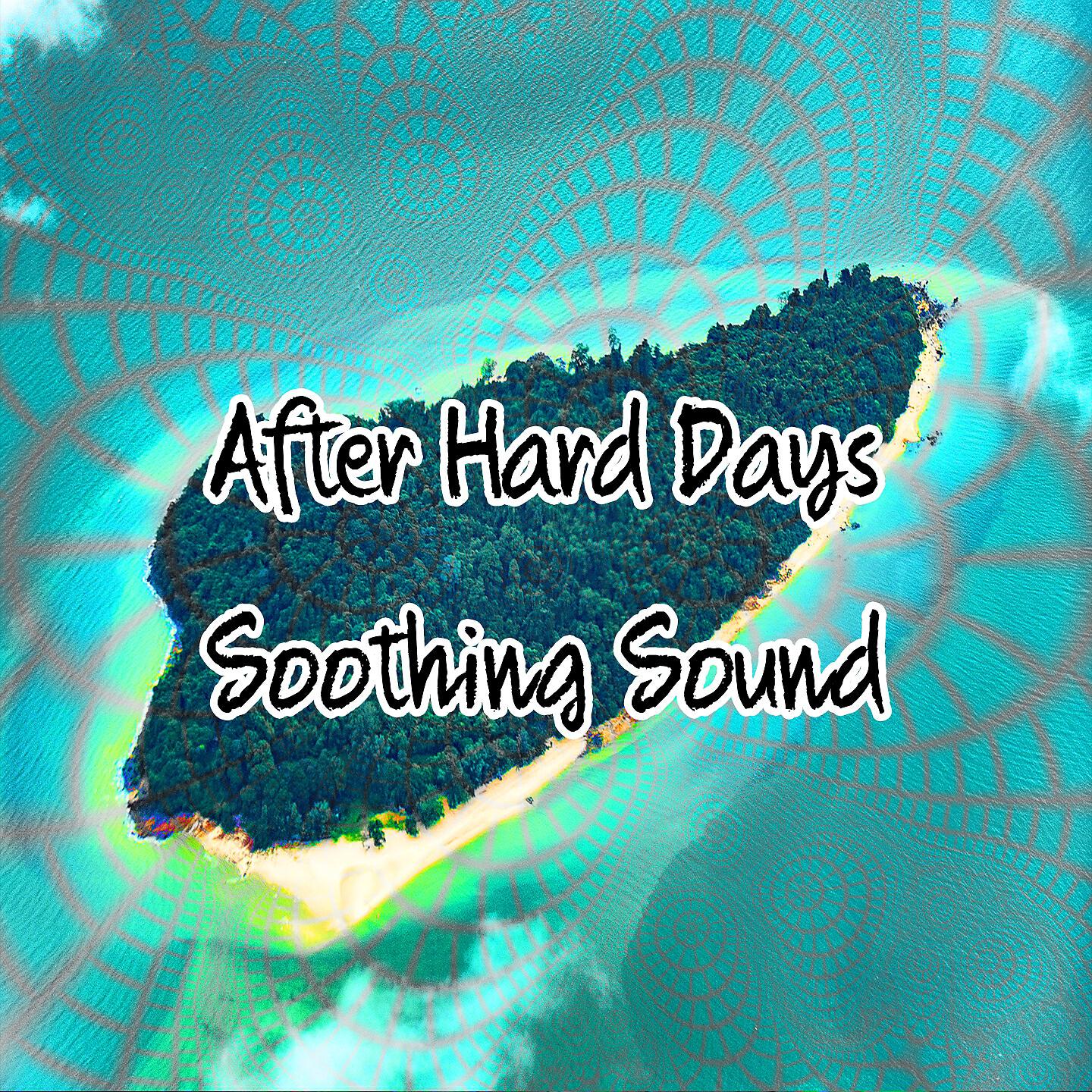 Ocean Sounds Collection - Windy Searenity