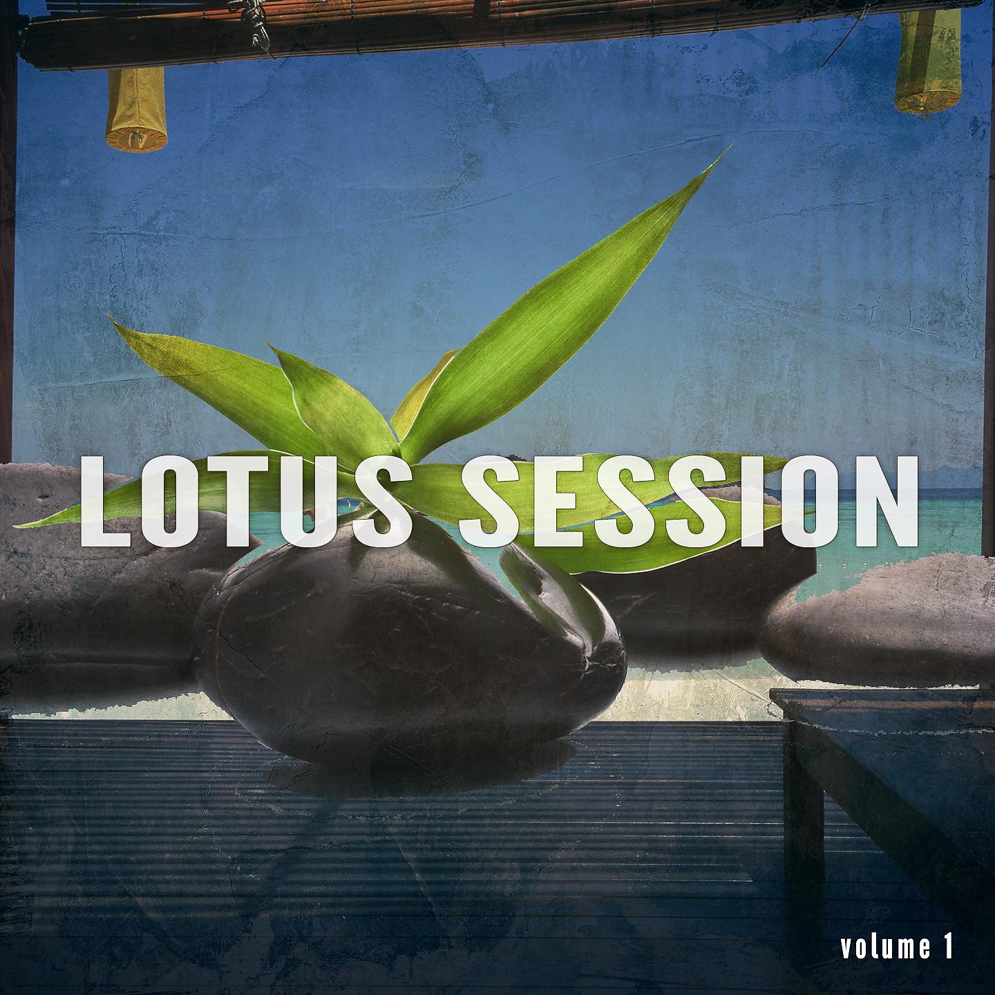 Постер альбома Lotus Session, Vol. 1