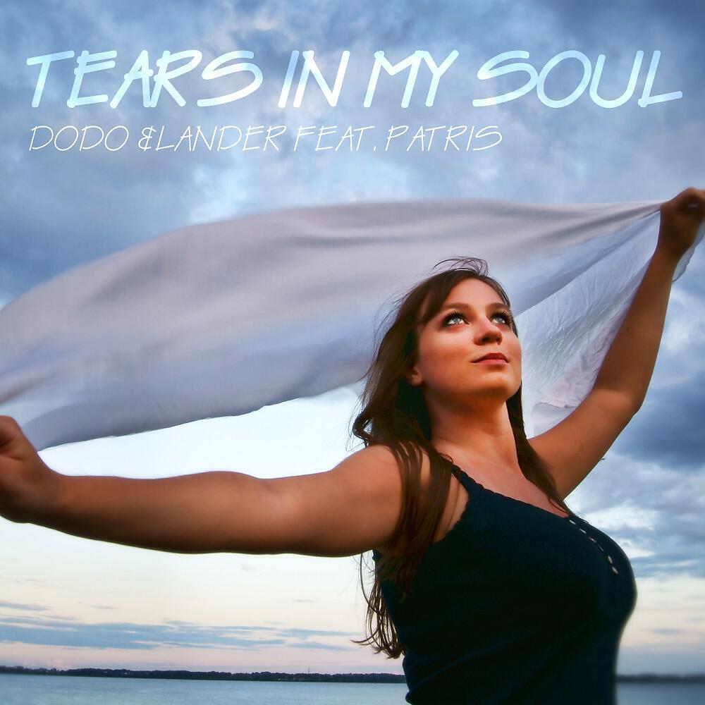 Dodo Basnak & Michael Lander feat. Patris - Tears in My Soul (Radio Edit)