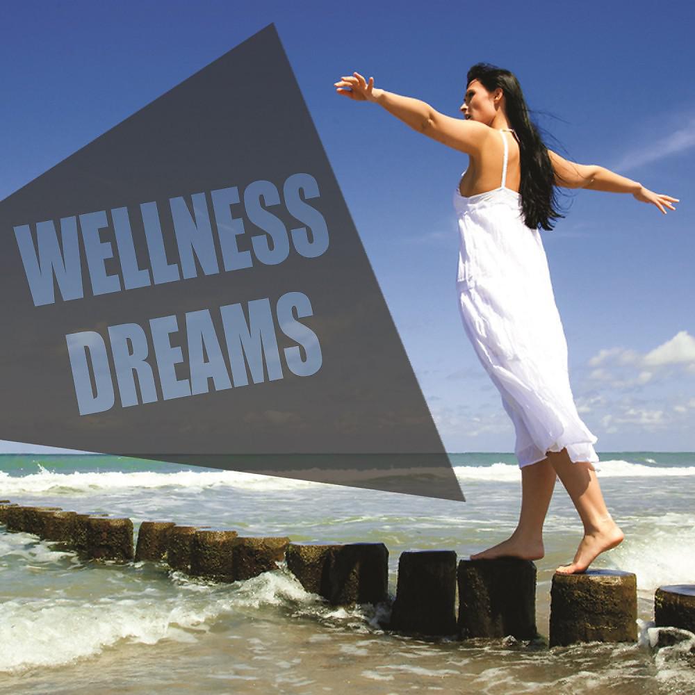 Постер альбома Wellness Dreams
