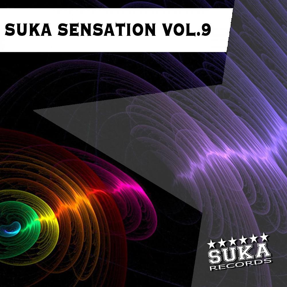 Постер альбома Suka Sensation, Vol. 9