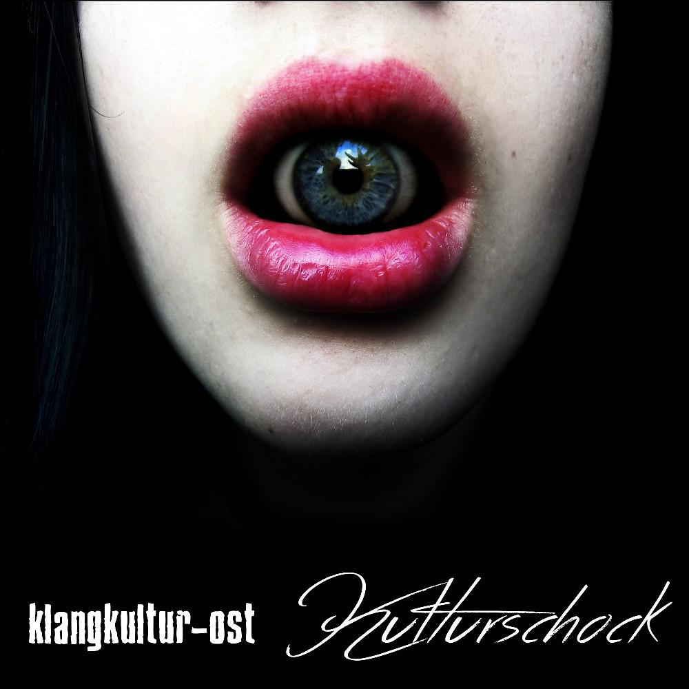 Постер альбома Kulturschock