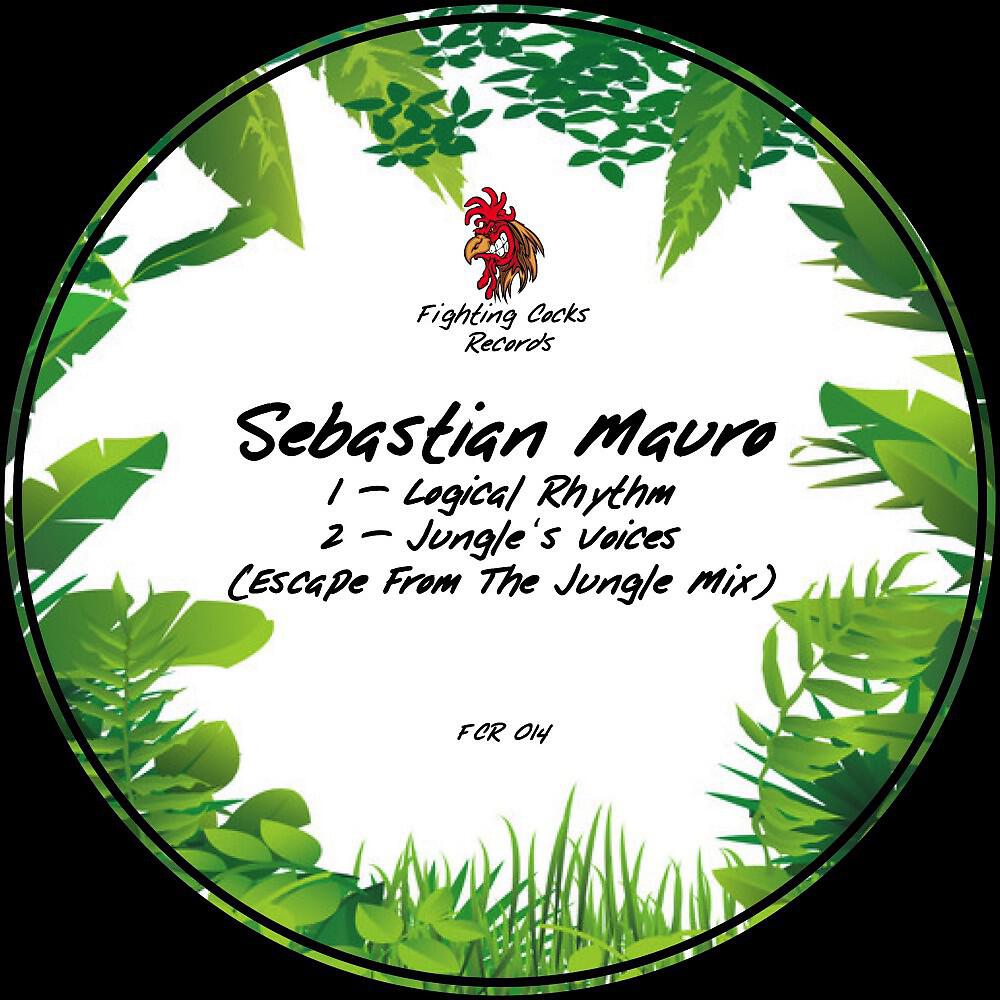 Sebastian Mauro - Logical Rhythm