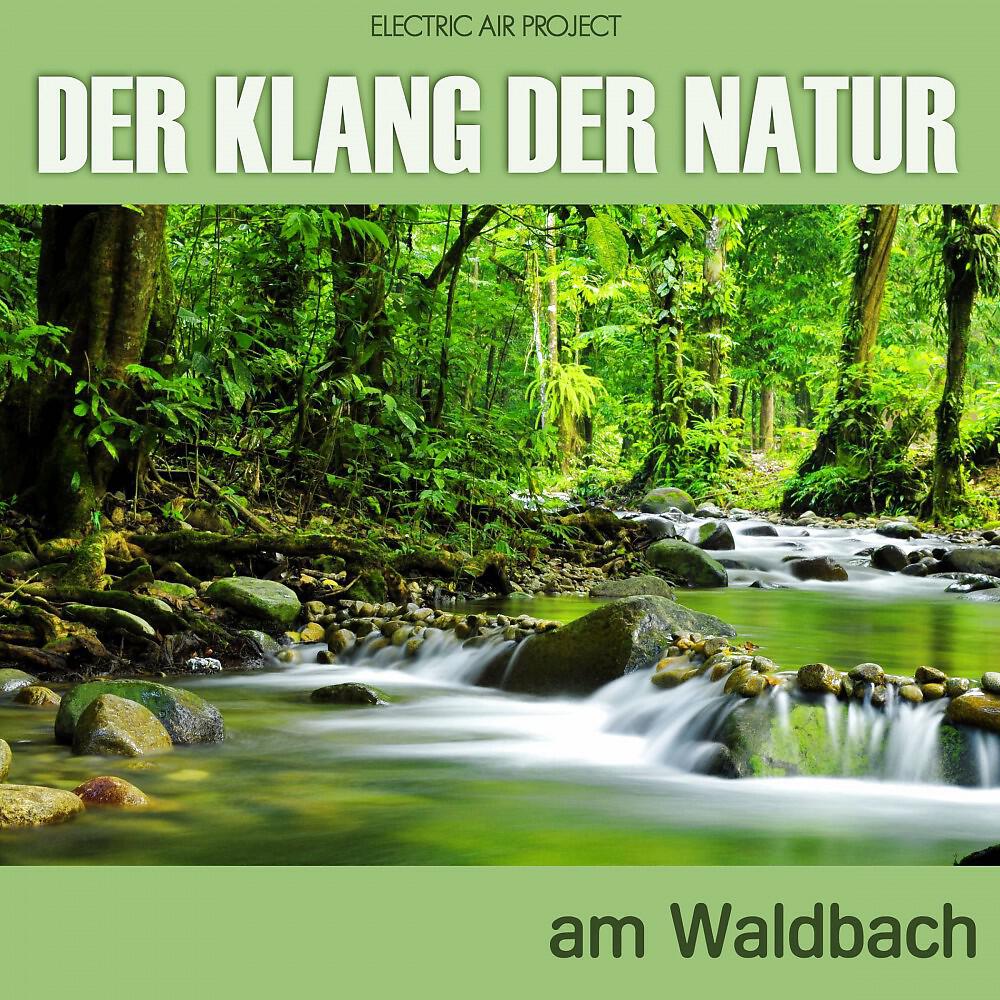 Electric Air Project - Der Klang der Natur - Am Waldbach