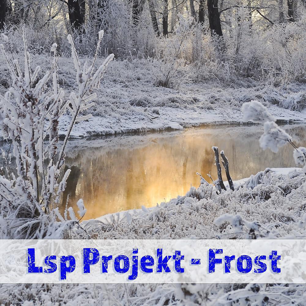 Lsp Projekt - Frost