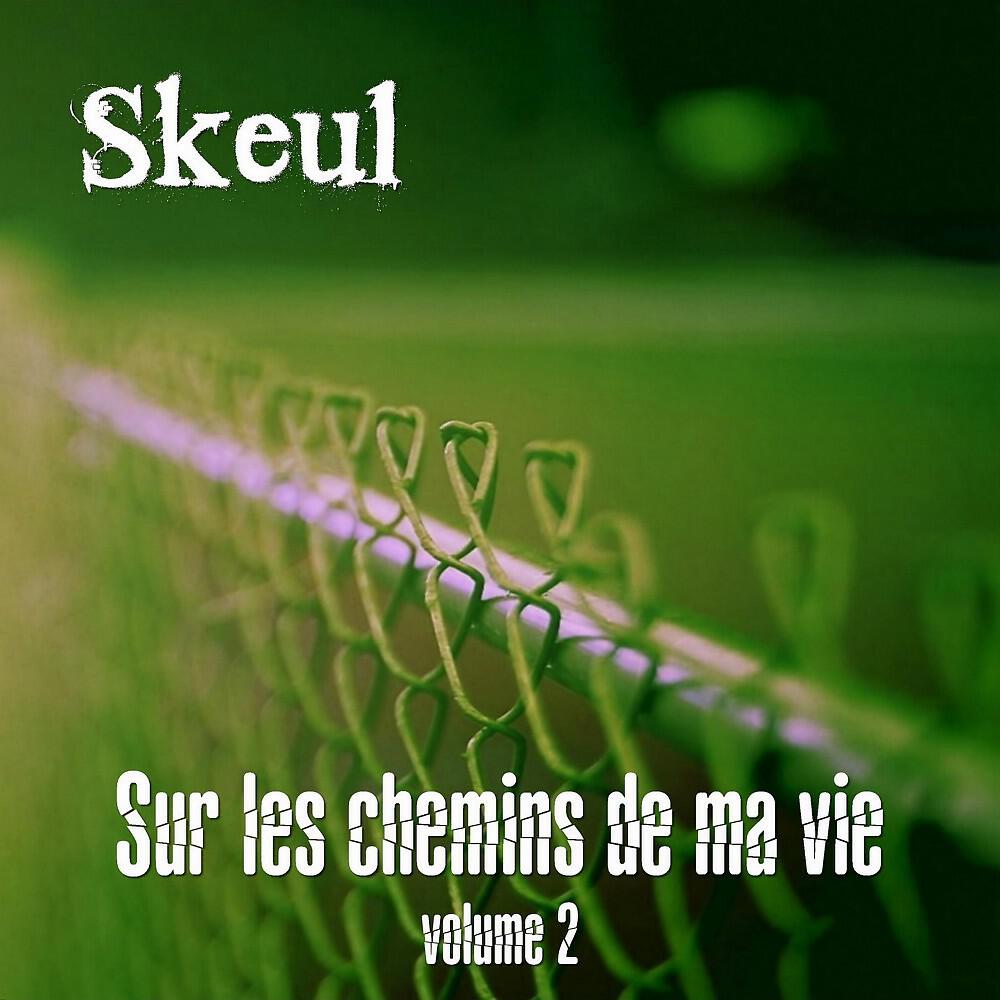 Skeul - On rôde dans le cimetière